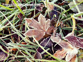 French Village Diaries France countryside walks frosty leaves