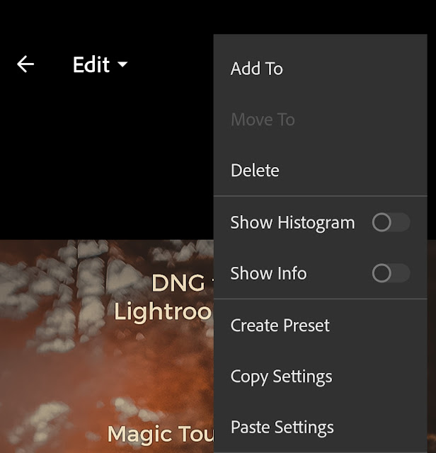 Apply DNG preset settings to photos on Lightroom app