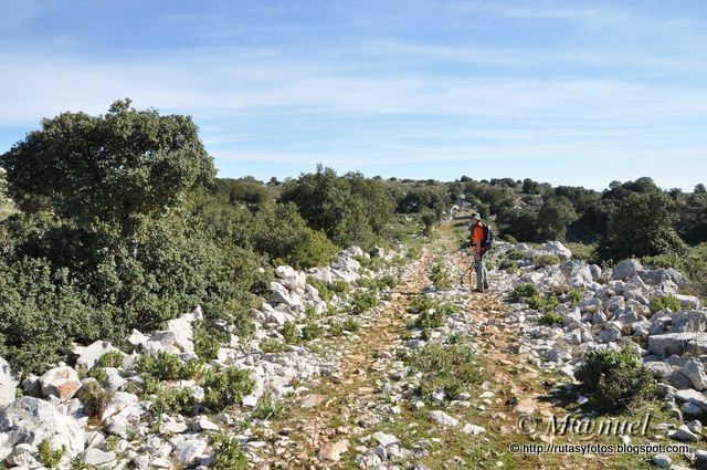 Sierra de Los Pinos