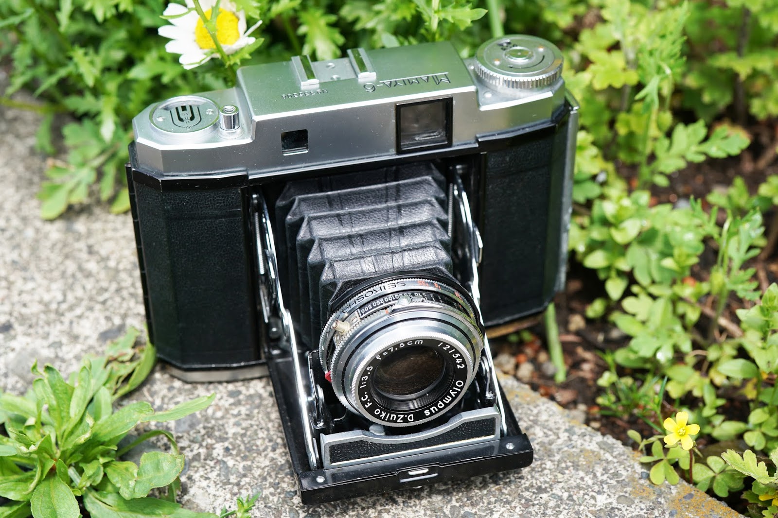 Mamiya-6 Automat Repair - 1955年発売 | Photo of the Life