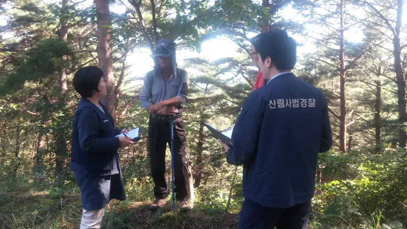 산림 내 불법행위 집중단속 및 산림사법 특별대책기간 운영