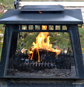 Duraflame Firelogs Reviewed - Wood Alternatives for Fireplace