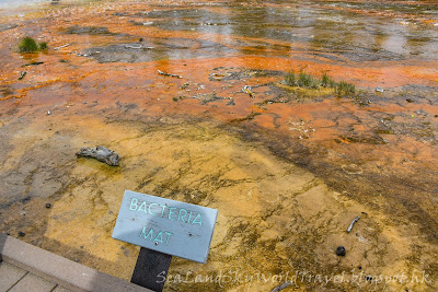 黃石國家公園, yellowstone national park, Fountain Point Pot