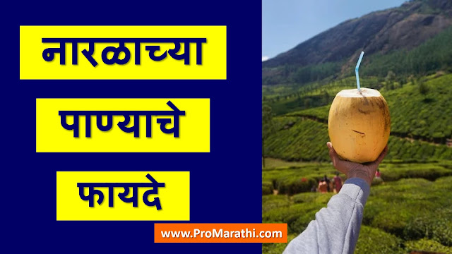 Coconut Water Benefits in Marathi