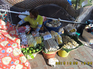 Gaurav Gupta on tour with local ChiangMai tour guide to Doi Suthep temple on 09 nov 2013