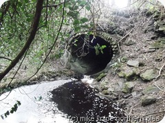 a big culvert