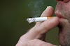 Early Smoking Effects on Young Minds: Cambridge Study