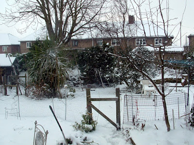 A garden gate covered in snow