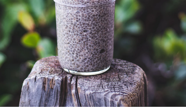 Quick & Easy Chia Seeds and Water Recipe | Healthbiztips
