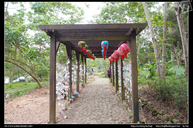 2017-05-07雲林古坑鄉-荷苞山桐花公園