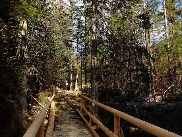 Granica Tatry Zachodnie / Wysokie, Psia Trawka