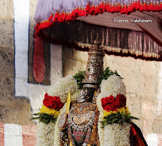 Sri Parthasarathy Perumal, Venkata KRishnan,Kodai Utsavam,Purappadu, 2018, Video,Divya Prabhandam,Triplicane,Thiruvallikeni,Utsavam,