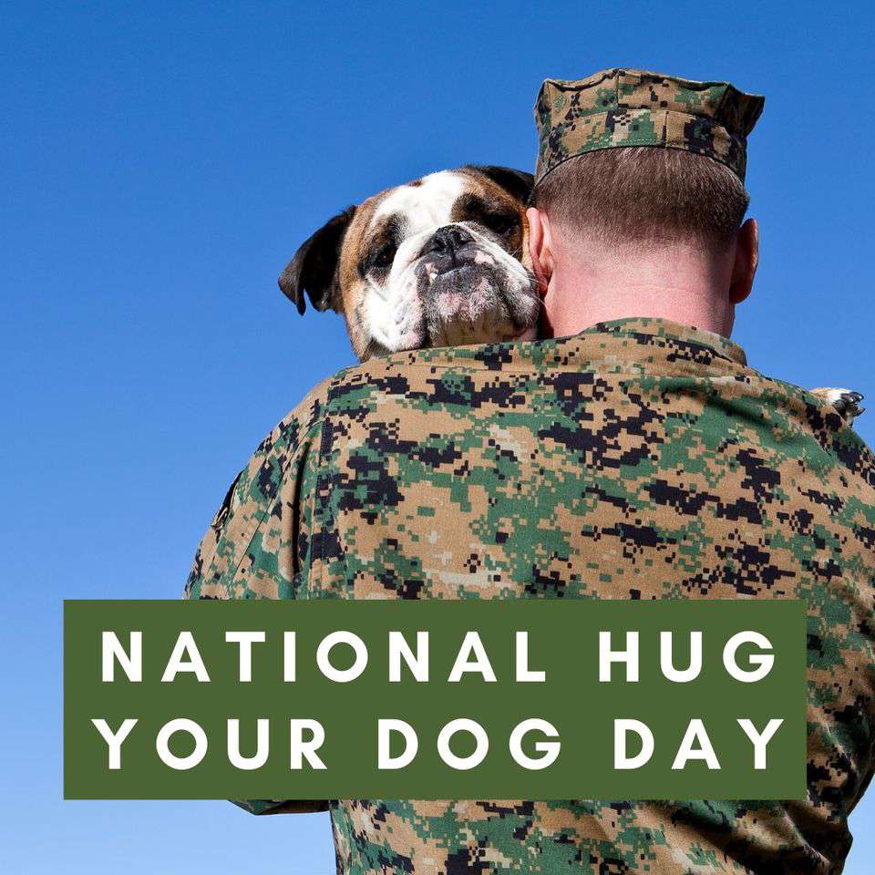 National Hug Your Dog Day Wishes Beautiful Image