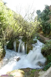 Abundante agua en invierno