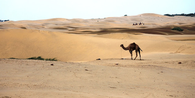 Jaisalmer