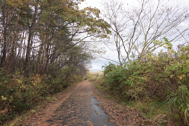 鳥取県西伯郡伯耆町金屋谷 袋小路