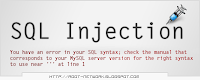  SQL Injection