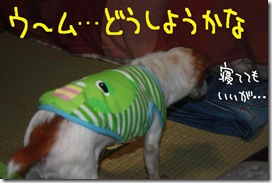 今日カズ１００４０８　６