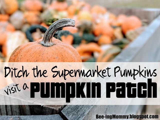 pumpkins, pumpkin patch, fall, fall bucket list, things to do in fall, pumpkin patch vs supermarket, pumpkin patch vs grocer store, family fun, family activity, fall family activity,  life experience, fall fun, fall decor, 5 reasons why, pumpkin pictures, different pumpkins, pumpkin hunting, 