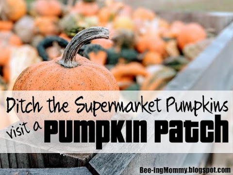 5 Reasons to Ditch Supermarket Pumpkins and visit a Pumpkin Patch