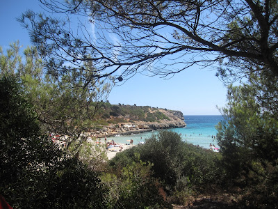 playa mallorca