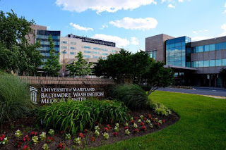 University Of Washington Medical School