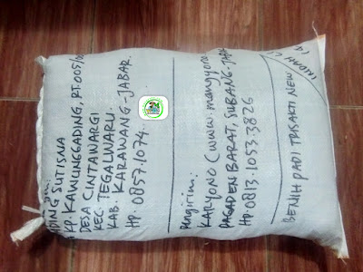 Benih padi yang dibeli   ADING SUTISNA Karawang, Jabar.  (Setelah packing karung ). 