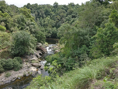 Kunthipuzha, kunthi river, Silent Valley National Park