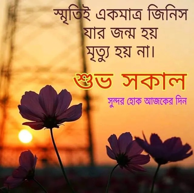 শুভ সকাল ছবি ও পিকচার ডাউনলোড | Good Morning Picture Download শুভ সকাল ছবি ও পিকচার ডাউনলোড | Good Morning Picture Download