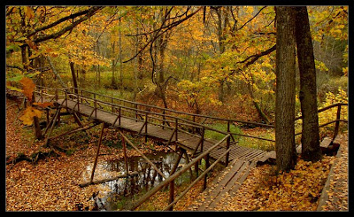 Wooden Bridges by cool wallpapers