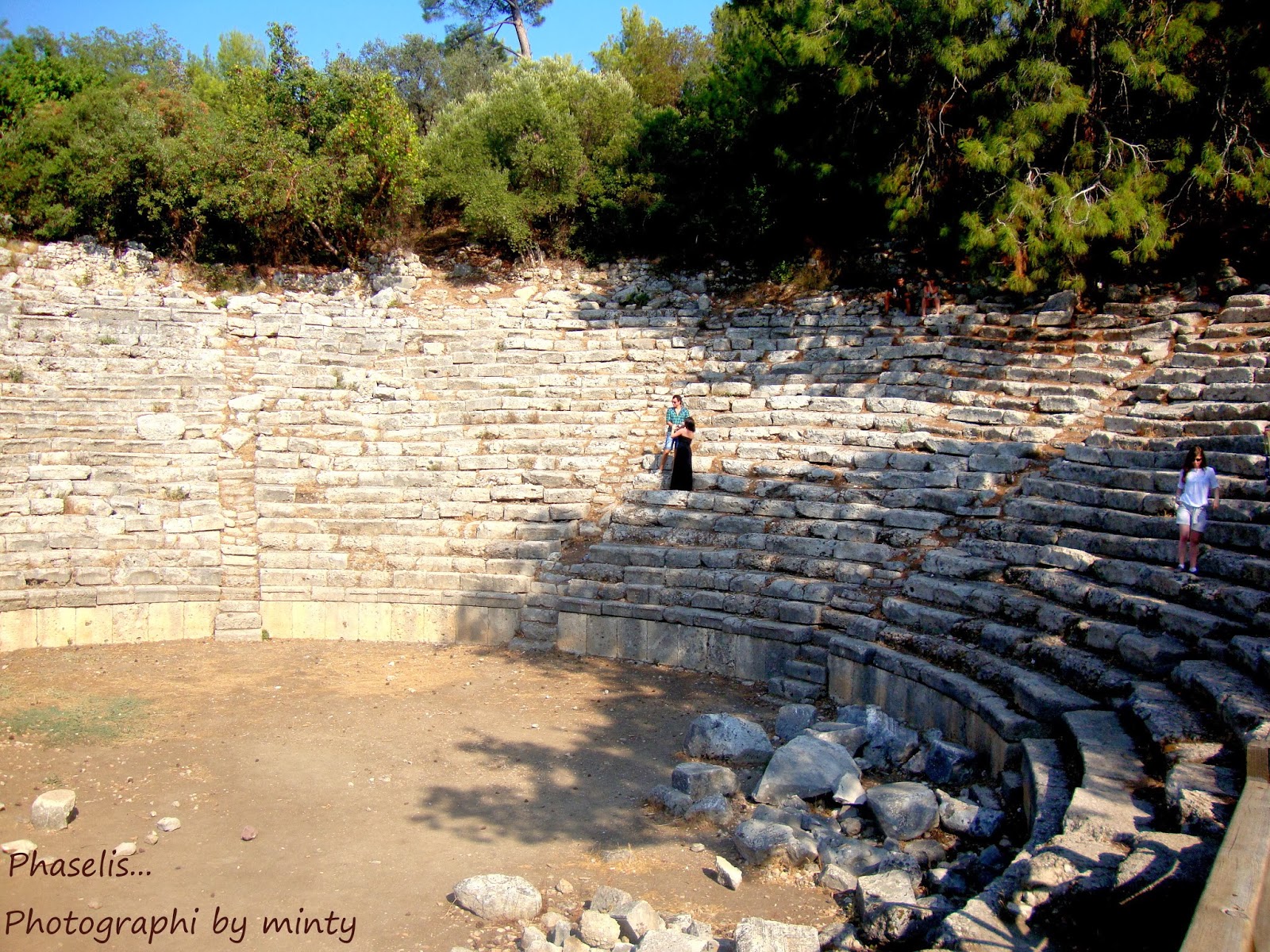 phaselis 15