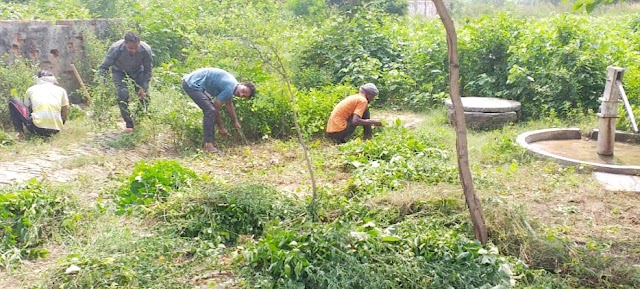 अधिकारियों से की गई शिकायत लाई रंग, कठेहरा ग्राम में साफ सफाई का कार्य हुआ चालू।