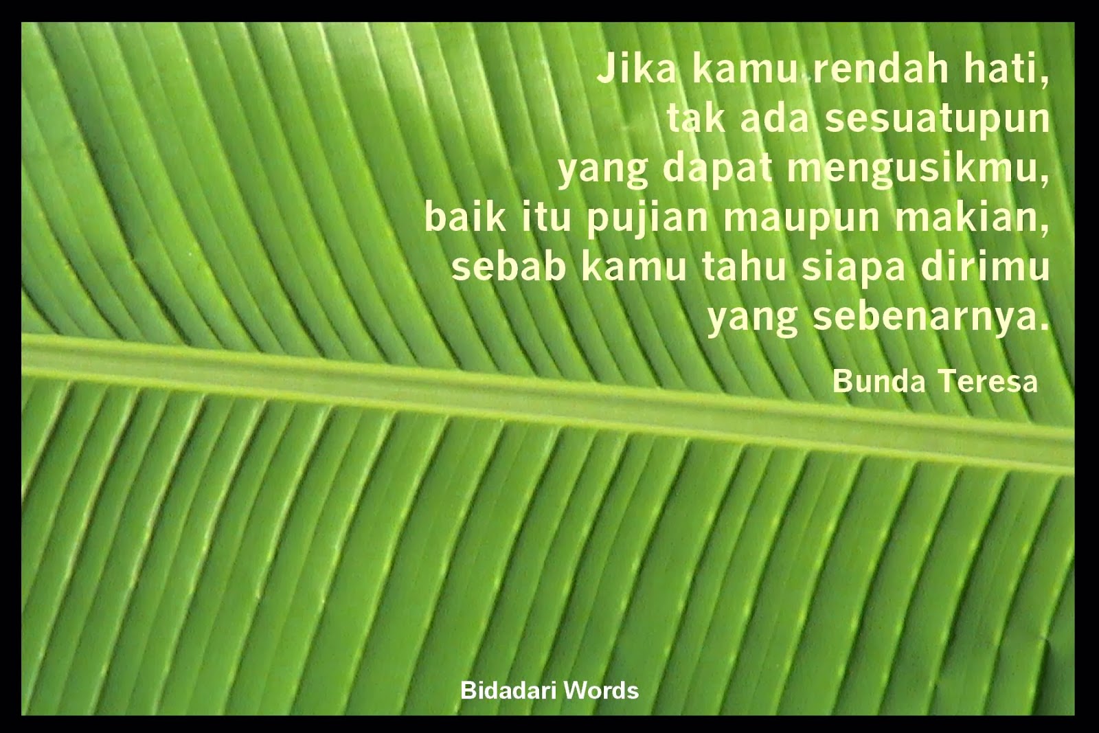 HANDRI NOFIANTO Kalimat Motivasi Kerja Kata Motivasi Inggris