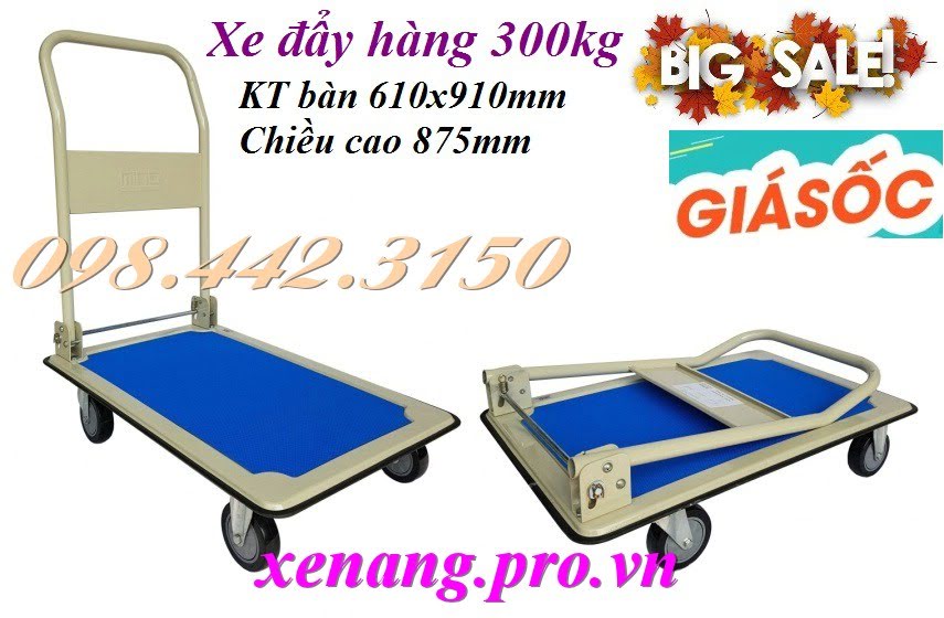 Xe đẩy 300kg