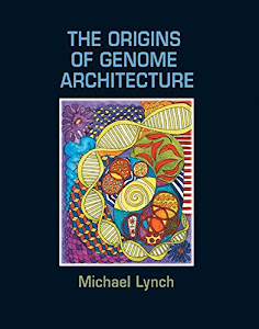 The Origins of Genome Architecture