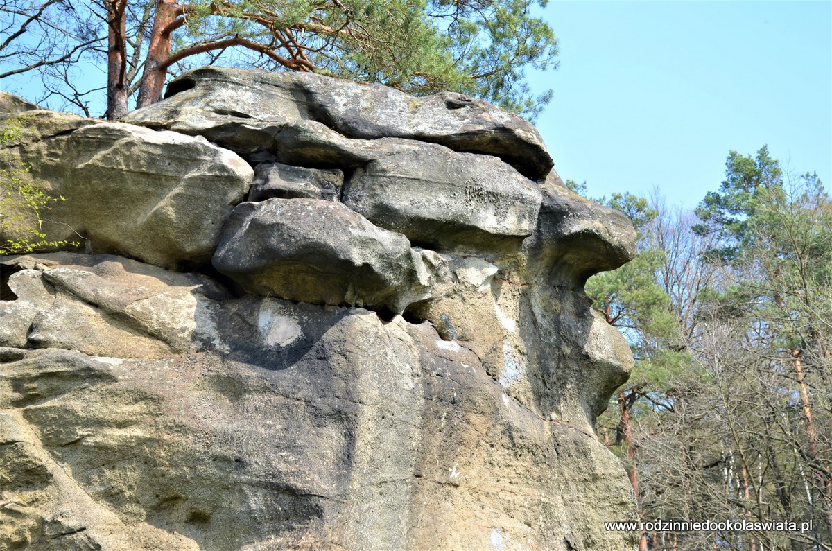 Skamieniałe Miasto