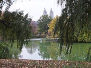 067dev-DSCF1093