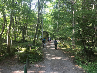 鳳凰三山 トレイル ランニング