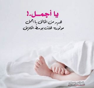 صور مولوده 