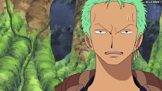 ワンピース アニメ 空島 スカイピア 168話 ロロノア・ゾロ Roronoa Zoro | ONE PIECE Episode 168 Skypiea