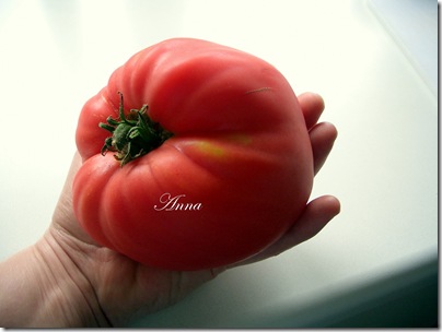 Tomater 009