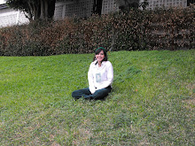 Mi foto