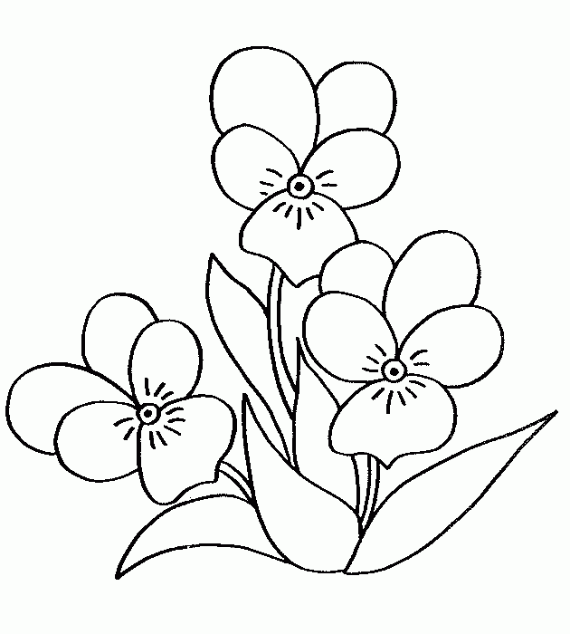 Imagenes De Rosas Hermosas Para Dibujar - Dibujo de Rosa para Colorear Dibujos 