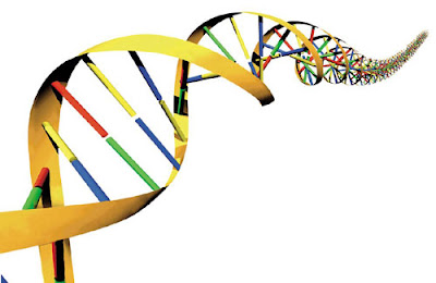 Apa Itu Tes DNA?