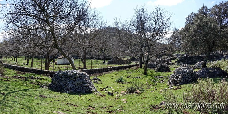 El Cintillo - Sierra Baja de Ubrique - Paso del Bombo - Ubrique - Cañada de los Pernales