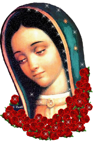 CTVCVirgenGuadalupe2C2