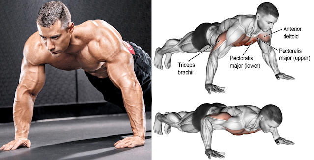 Best 7 Push-Up Variations to Build Muscle