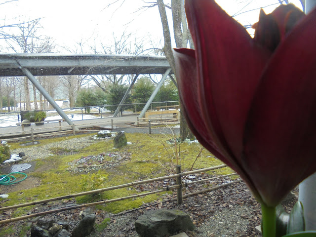 ゆりの館は花の香りがします