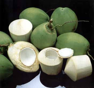 Young Coconut Water For Pregnant Women