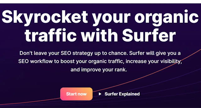 SEO Surfer